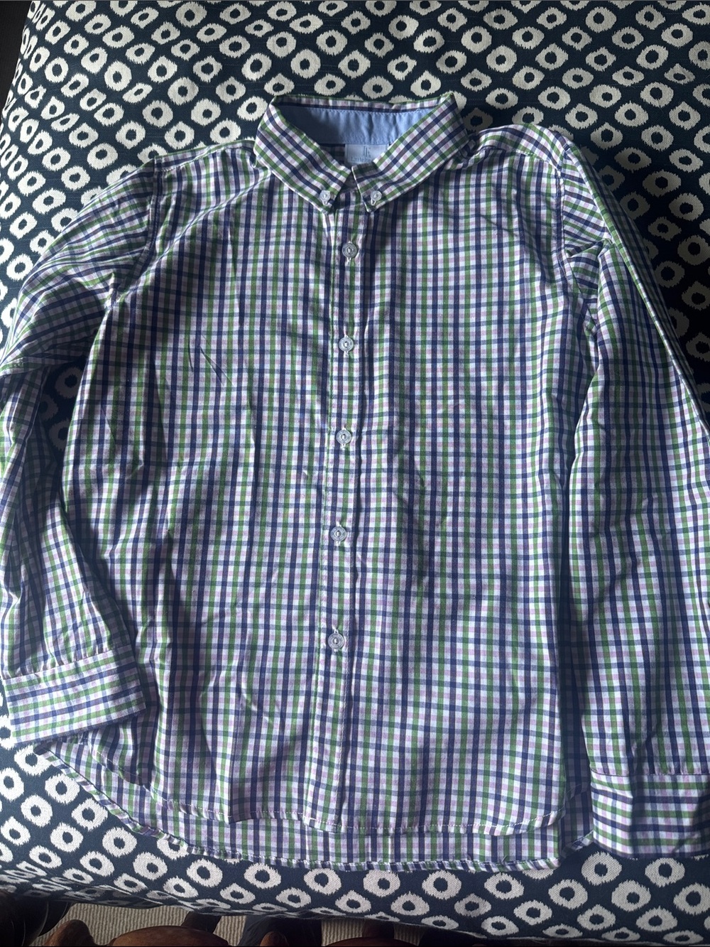 Little English Green and Blue Gingham Button-Down Shirt